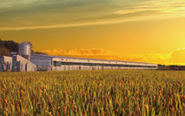 松林工贸迎来新一年新气象