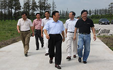 区委盛书记来我公司东石场视察