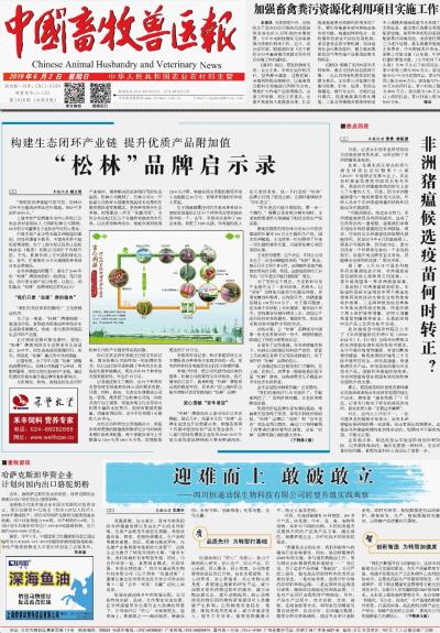 “松林”品牌启示录