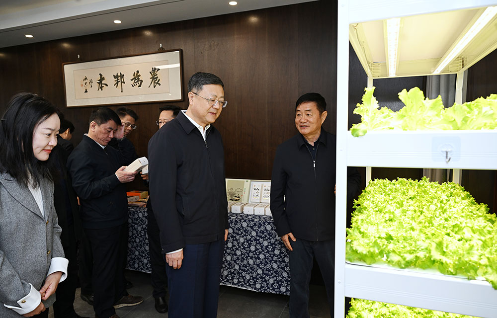 -市委书记-(2)