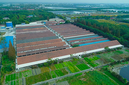 2002年收购新五茹塘种猪场，经改造后，可饲养年圈存母猪1200头，商品猪圈存量2000头。